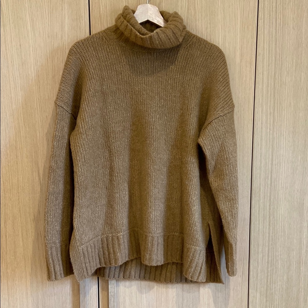 Everlane Turtleneck Sweater